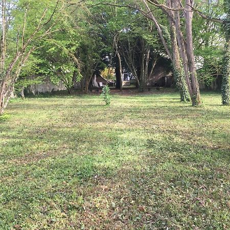 לה רוש-פוזה Meuble De Tourisme Dans Parc Arbore 1000M2 - Sejour-La-Roche Eperon מראה חיצוני תמונה