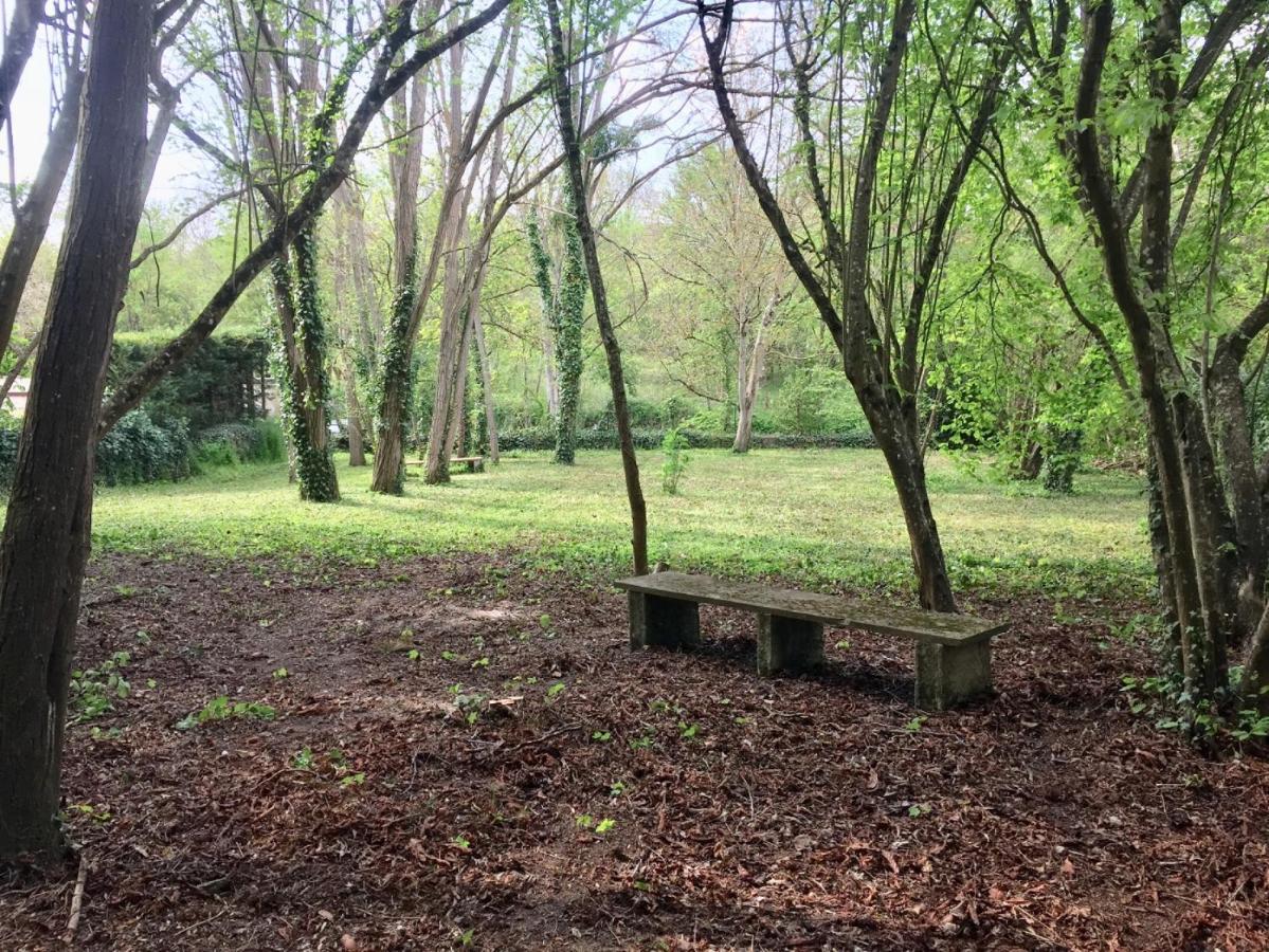 לה רוש-פוזה Meuble De Tourisme Dans Parc Arbore 1000M2 - Sejour-La-Roche Eperon מראה חיצוני תמונה